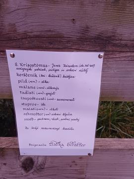 Čestitke ob prazniku Dnevu reformacije (10)